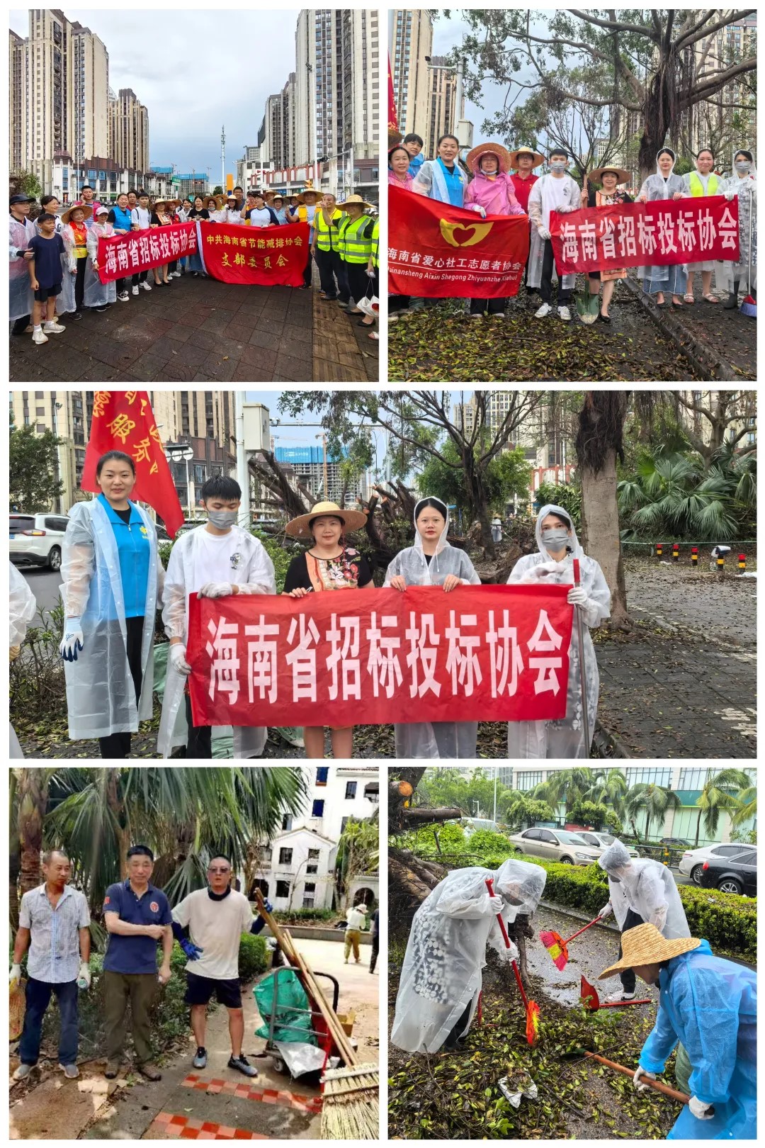 “摩羯”無情，人間有愛——海南省招標投標協(xié)會與會員單位積極開展災后重建工作